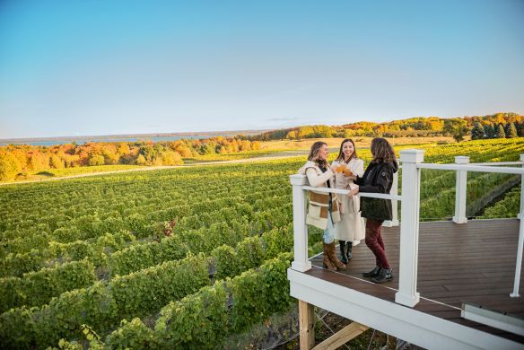 Hops, Grapes & Grains